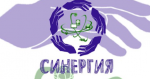 Логотип cервисного центра Синергия